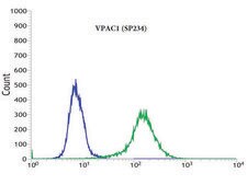 Anti-VPAC1 antibody, Rabbit monoclonal clone SP234, recombinant, expressed in proprietary host, affinity isolated antibody