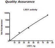 LSD1 Active human recombinant, expressed in E. coli, ≥70% (SDS-PAGE)