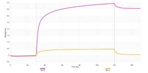 Anti-Claudin-18 Antibody, clone 1G17 ZooMAb® Rabbit Monoclonal recombinant, expressed in HEK 293 cells