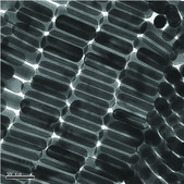 Gold nanorods 10 nm diameter, λmax, 780 nm, dispersion in H2O