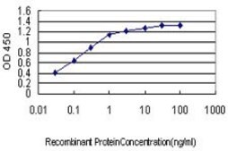 Monoclonal Anti-JPH1 antibody produced in mouse clone 2E6, purified immunoglobulin, buffered aqueous solution