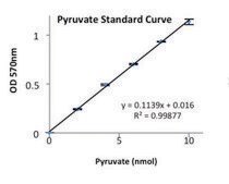 Pyruvate Kinase Activity Assay Kit sufficient for 100 colorimetric&nbsp;or&nbsp;fluorometric&nbsp;tests