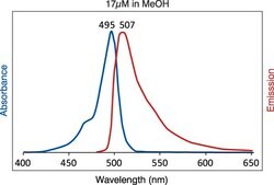 TopFluor™ Cholesterol Avanti Research™ - A Croda Brand