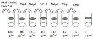 人 TIMP-2 ELISA 试剂盒 for serum, plasma, cell culture supernatant and urine