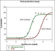 干扰素-γ 人 IFN-gamma, recombinant, expressed in HEK 293 cells, suitable for cell culture, endotoxin tested