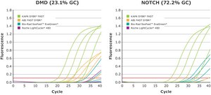 KAPA SYBR® FAST suitable for qPCR, 2 ×, for LightCycler®480