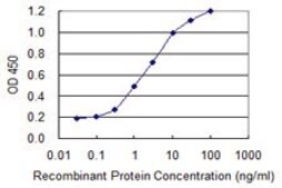 Monoclonal Anti-PPP1R1B antibody produced in mouse clone 3G11, purified immunoglobulin, buffered aqueous solution