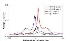 Anti-PRDM2 antibody produced in rabbit Prestige Antibodies® Powered by Atlas Antibodies, affinity isolated antibody, buffered aqueous glycerol solution