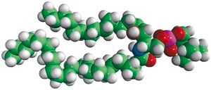 Milk SM Avanti Research™ - A Croda Brand
