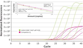 KAPA SYBR® FAST One-Step suitable for RT-PCR, 2 ×, Universal