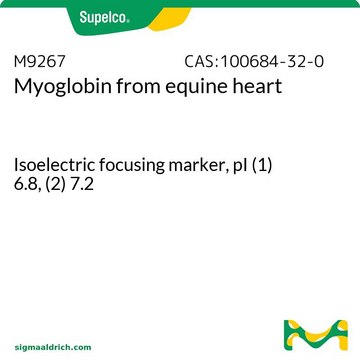 肌红蛋白 来源于马心脏 Isoelectric focusing marker, pI (1) 6.8, (2) 7.2