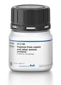 酪蛋白和其他动物蛋白胨 suitable for microbiology