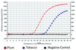 植物/真菌DNA分离试剂盒 sufficient for 50 purifications