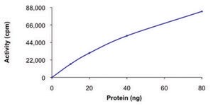 PAK6, active, GST tagged human PRECISIO® Kinase, recombinant, expressed in baculovirus infected Sf9 cells, ≥70% (SDS-PAGE), buffered aqueous glycerol solution