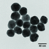 胶态银溶液 nanoparticles, 40 nm particle size, 0.02 mg/mL in aqueous buffer, contains sodium citrate as stabilizer