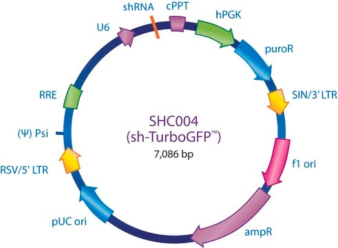 MISSION&#174; pLKO.1-puro TurboGFP&#8482; shRNA Control Plasmid DNA shRNA sequence targeting tGFP