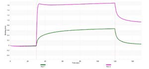 Anti-RPS3 Antibody, clone 3I17 ZooMAb® Rabbit Monoclonal recombinant, expressed in HEK 293 cells