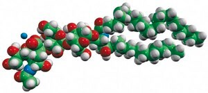 Ganglioside GM3 (Bovine Milk) Avanti Research™ - A Croda Brand
