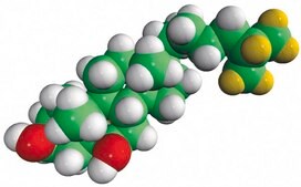 5α,6β-dihydroxycholestanol-d7 Avanti Research™ - A Croda Brand