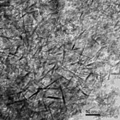 氧化铝 nanopowder, <50 nm particle size (TEM)