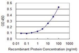 Monoclonal Anti-BNIP3L antibody produced in mouse clone 2E11, purified immunoglobulin, buffered aqueous solution