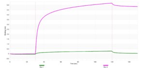Anti-CYP3A4 Antibody, clone 2F2 ZooMAb® Rabbit Monoclonal recombinant, expressed in HEK 293 cells