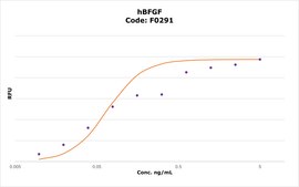hBFGF FGF-Basic, recombinant, expressed in E. coli, suitable for cell culture