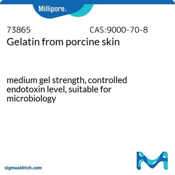 Gelatin from Porcine skin, pkg of 500 g, suitable for microbiology