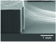 Carbon nanotube array, multi-walled, drawable vertically aligned on Si substrate