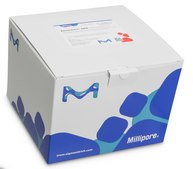 GDS Salmonella Tq BioControl, Molecular-based PCR assay suitable for detection of Salmonella spp. in food and environmental samples