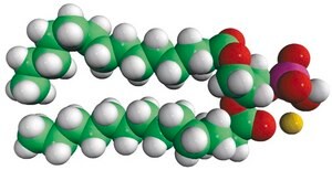 14:0 PA Avanti Research™ - A Croda Brand