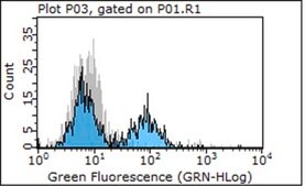 抗-整合素β 1抗体，克隆P5D2 clone P5D2, Chemicon®, from mouse