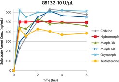 β-葡萄糖醛酸酶 来源于帽贝 (Patella vulgata) Type L-II, lyophilized powder, 1,000,000-3,000,000 units/g solid