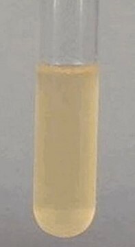 Potato Dextrose Broth suitable for microbiology, NutriSelect&#174; Basic