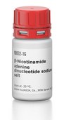β-Nicotinamide adenine dinucleotide sodium salt