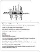 Anti-RBP-Jk, clone 1F1 Antibody clone 1F1, from rat