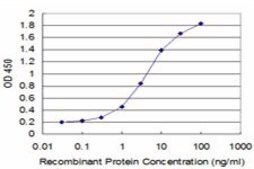 Monoclonal Anti-HEY1 antibody produced in mouse clone 3B3, purified immunoglobulin, buffered aqueous solution