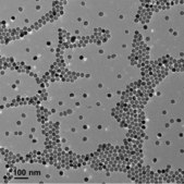 Iron oxide(II,III), magnetic nanoparticles solution 30 nm avg. part. size (TEM), PEG functionalized, dispersion, 1 mg/mL Fe in H2O