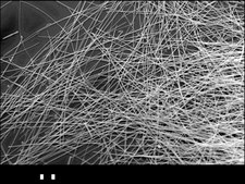 Silver nanowires diam. × L 50 nm × 6 μm, 0.5% (isopropyl alcohol suspension)