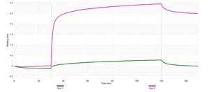 Anti-L1CAM/CD171 Antibody, clone 2B15 ZooMAb® Rabbit Monoclonal recombinant, expressed in HEK 293 cells