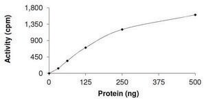 ROR1, Active PRECISIO® Kinase, recombinant