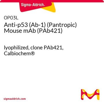 Anti-p53 (Ab-1) (Pantropic) Mouse mAb (PAb421) lyophilized, clone PAb421, Calbiochem®