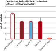 GenElute™ Endotoxin-free Plasmid Midiprep Kit sufficient for 35 purifications
