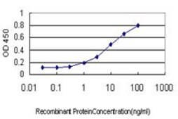Monoclonal Anti-HMOX1 antibody produced in mouse clone 5C6, purified immunoglobulin, buffered aqueous solution