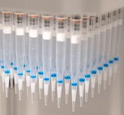 HybridSPE® DPX Tip weight 30 mg (bed), Hamilton, tip volume 300 μL