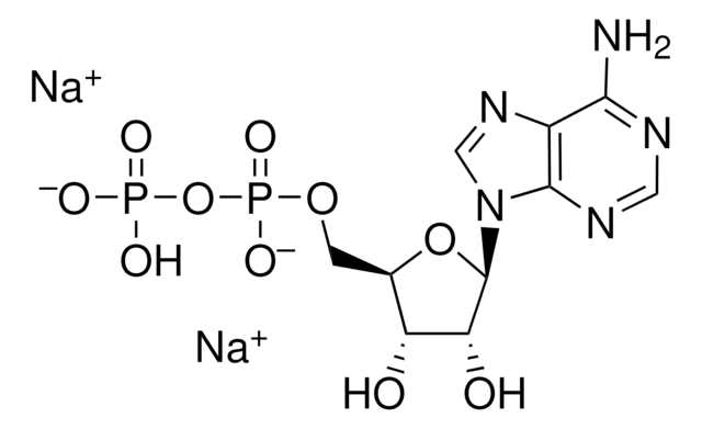 Adenosine 5&#8242;-diphosphate disodium salt &#8805;90%