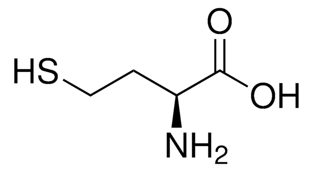 L-高半胱氨酸 &#8805;98.0% (NT)