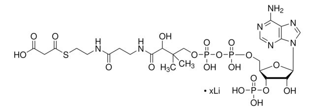 Malonyl coenzyme A lithium salt &#8805;90% (HPLC)
