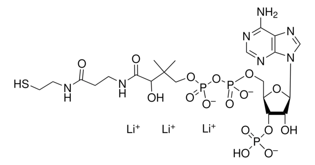 Coenzyme&#160;A trilithium salt &#8805;93%
