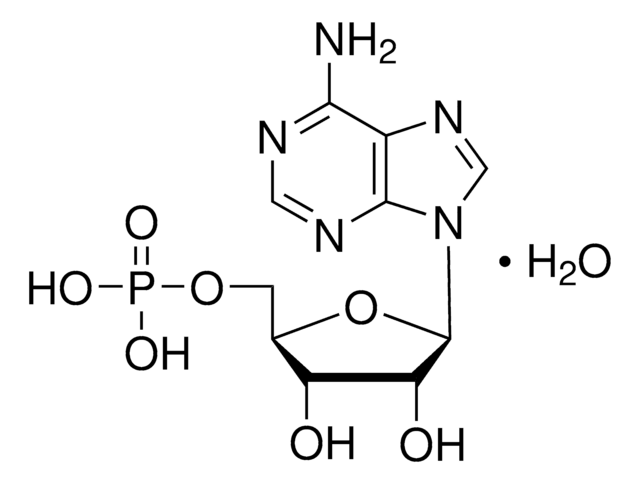 Adenosine 5&#8242;-monophosphate monohydrate from yeast, &#8805;97%